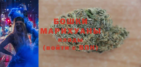 PSILOCYBIN Верея
