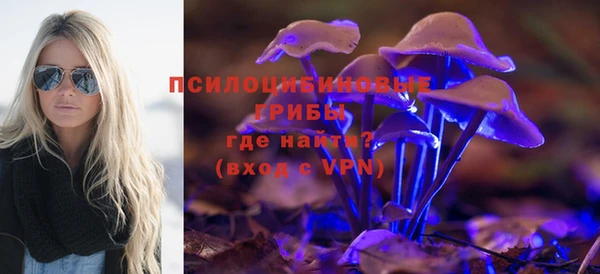 ECSTASY Горно-Алтайск