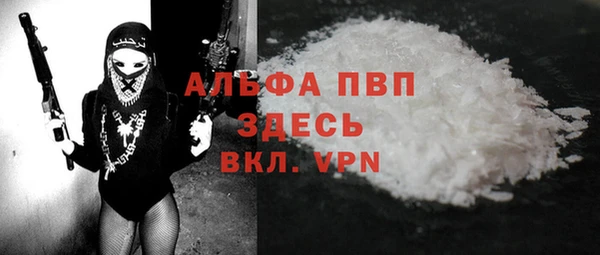 прущие крисы Горняк