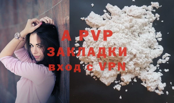 PSILOCYBIN Вязники