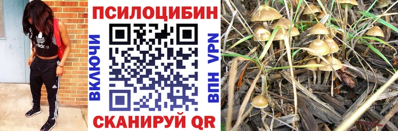 Галлюциногенные грибы ЛСД  Жиздра 
